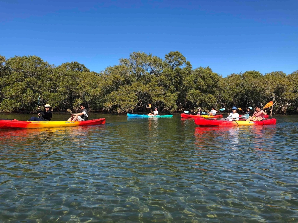 Kayaking at Cudgen Creek