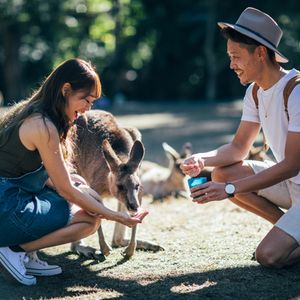 Currumbin Wildlife Sanctuary