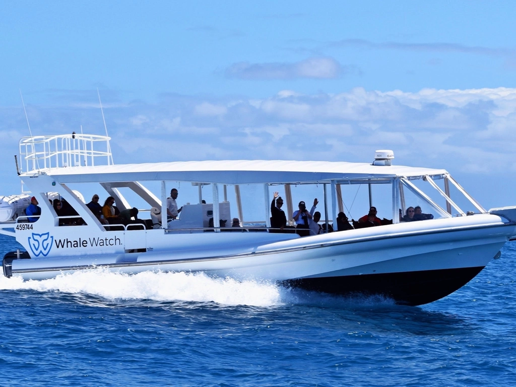 Whale Watch Queensland