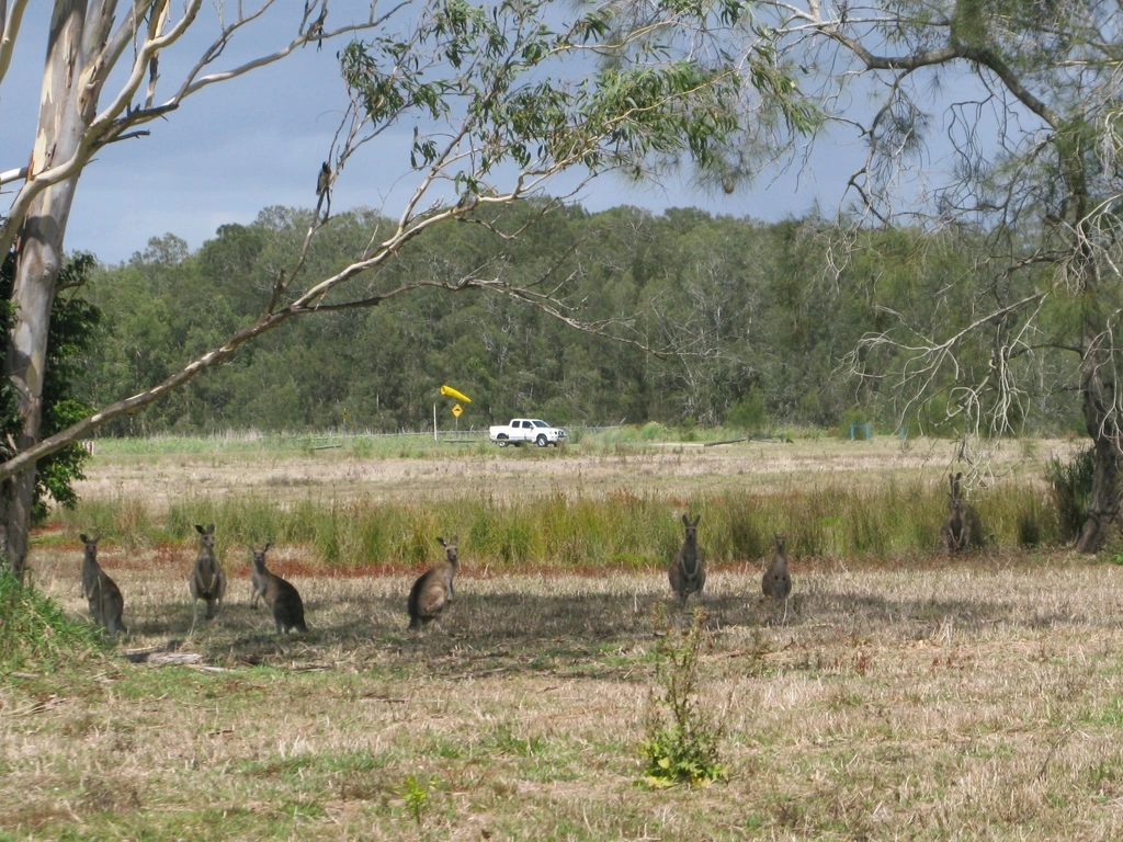 Coombabah Lakes Conservation Area 