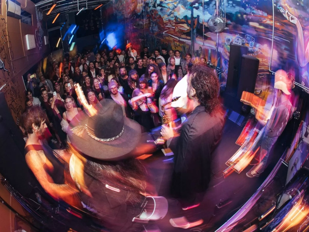 Zooid, Holystone, Belligerent Goat and Tapered: Live at Mo's Image 3