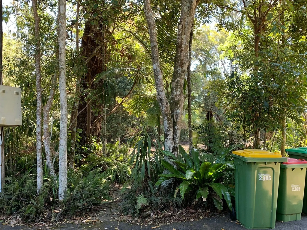 Powerpoint and bins
