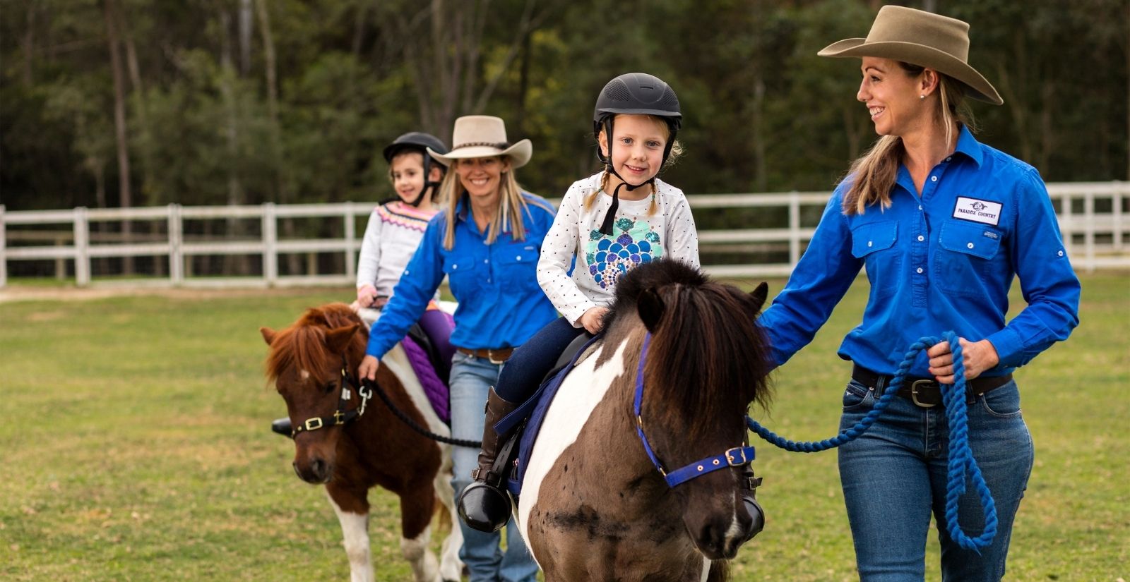 4 Fantastic Gold Coast Farm Stays Destination Gold Coast