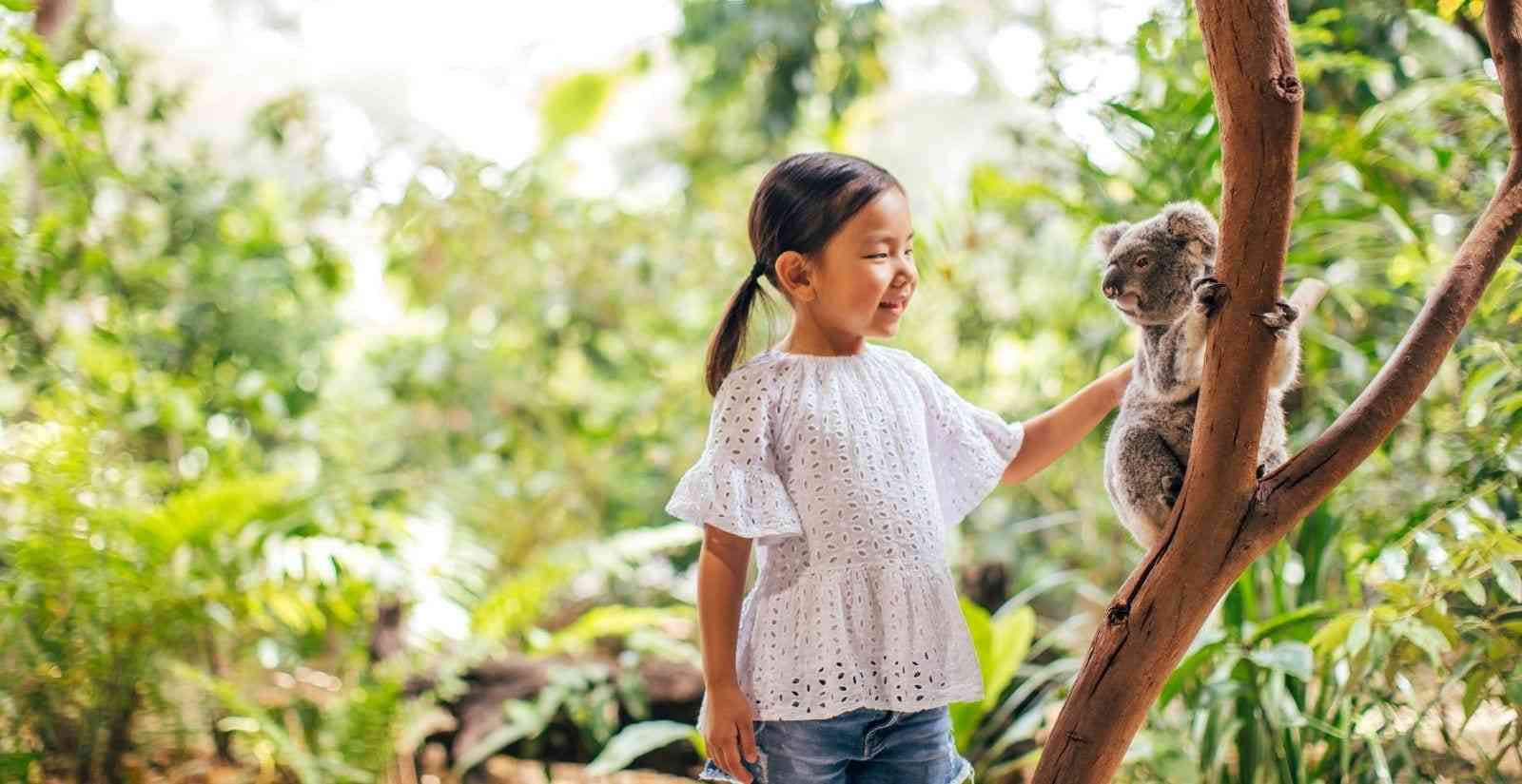 Your Ultimate Guide To Currumbin Wildlife Sanctuary