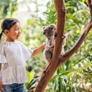 Your Ultimate Guide To Currumbin Wildlife Sanctuary