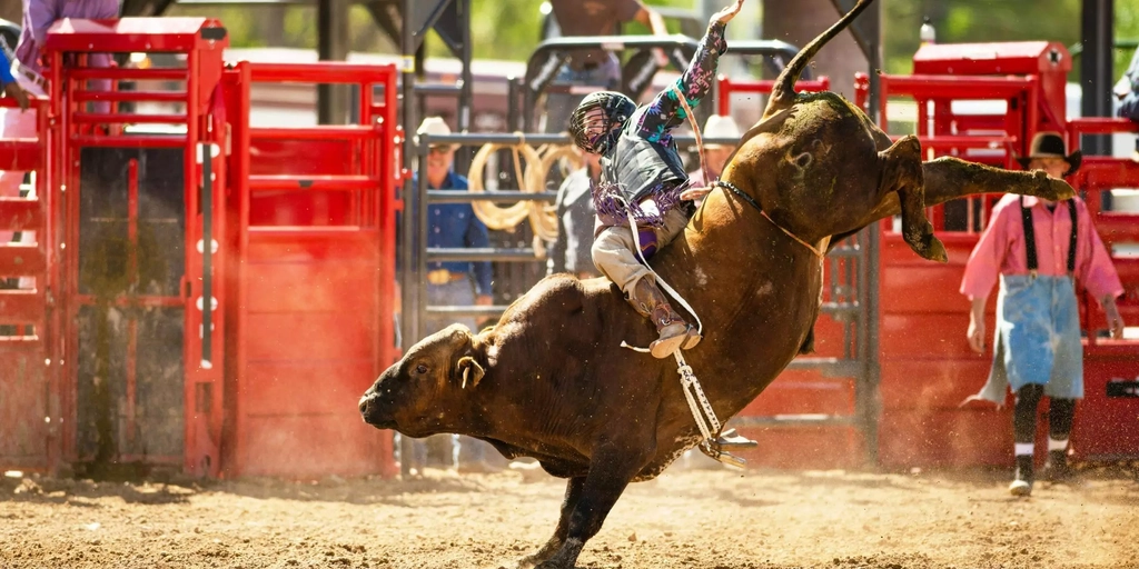 Tamborine All-Round Rodeo Image 1