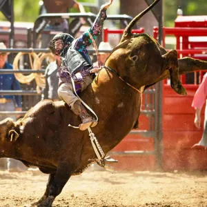 Tamborine All-Round Rodeo Image 1