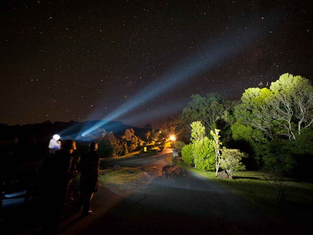 After dark night walk at Binna Burra