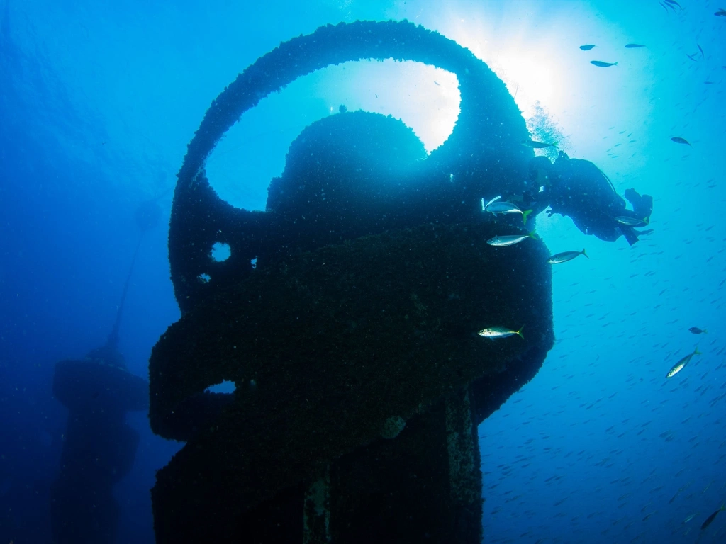 One of the nine Wonder Reef under water sculptures
