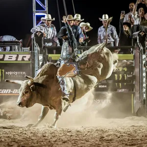 PBR Monster Energy Tour Beaudesert Invitational 2025 Image 1