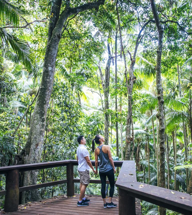 Gold Coast Hinterland
