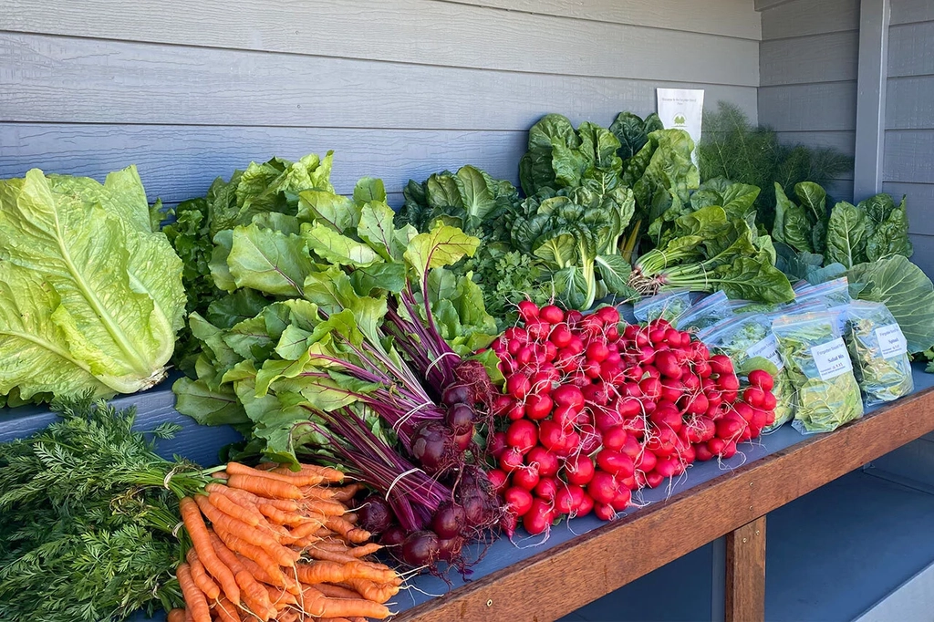 North Stores Eat Local Market, Growers and Makers Day Image 1