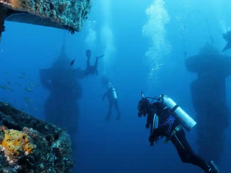 Experience the 'Wonder'