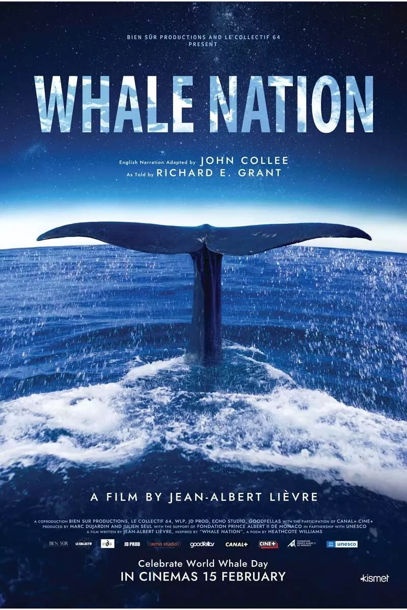 Whale Nation Image 1