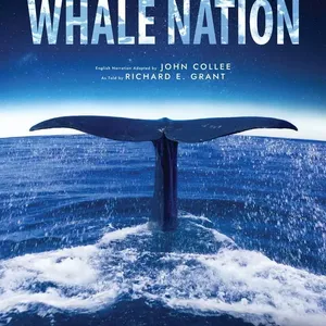 Whale Nation Image 1
