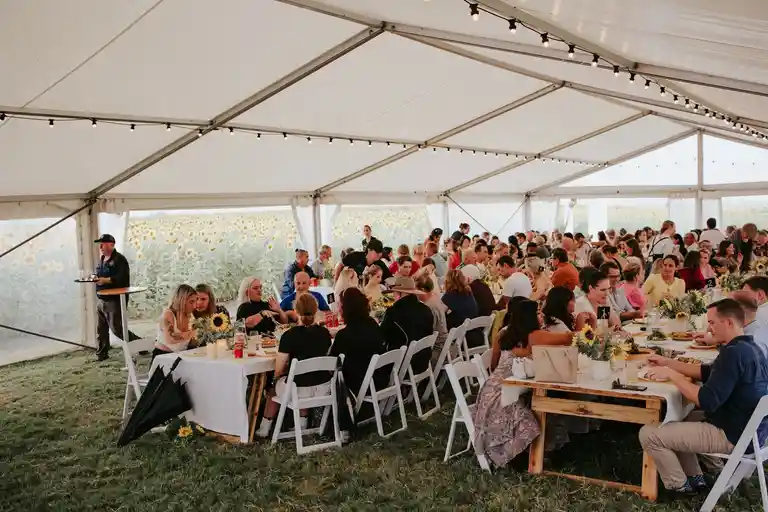Kalbar Sunflower Festival Image 8