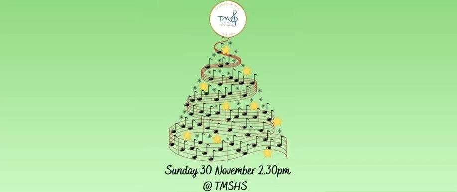 Tamborine Mountain Orchestra Christmas Concert 2025 Image 1