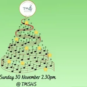 Tamborine Mountain Orchestra Christmas Concert 2025 Image 1