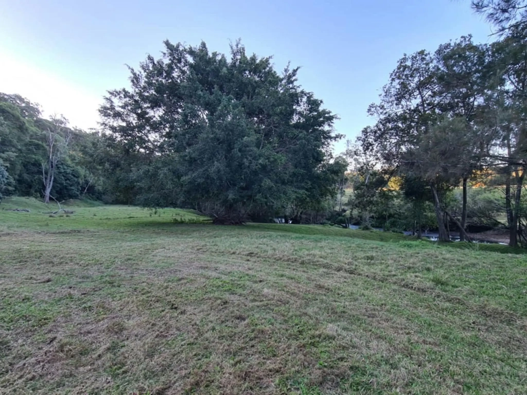 Koala Creek Camping