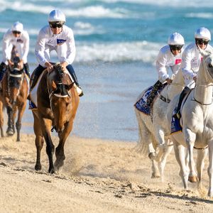 Magic Millions Barrier Draw 2023