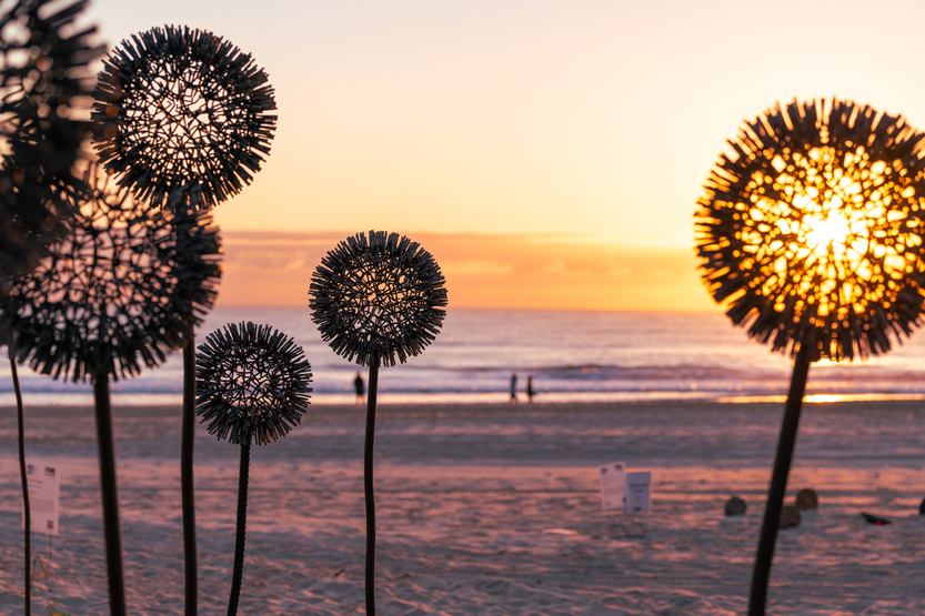 Swell Sculpture Festival 2024