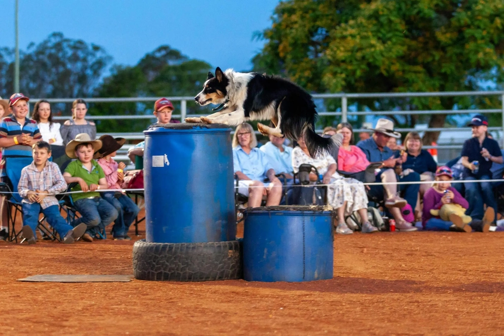 Tom Curtain's Here's to You Tour - Boonah Image 7