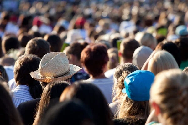 2026 TAB Magic Millions Raceday Image 1