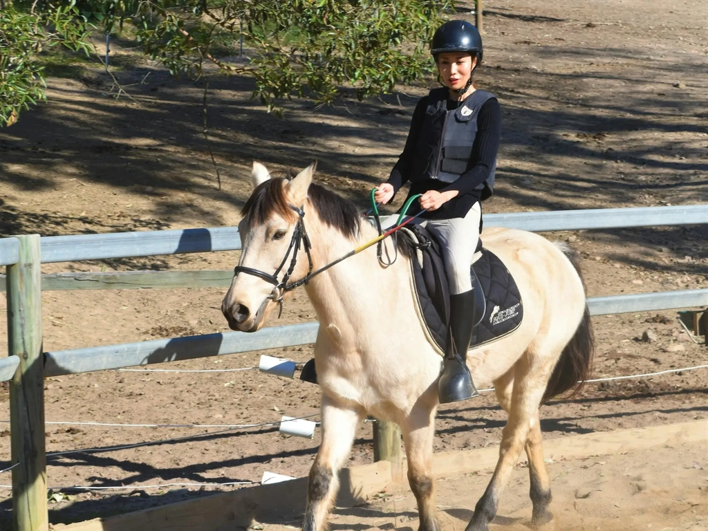 Adult private lessons