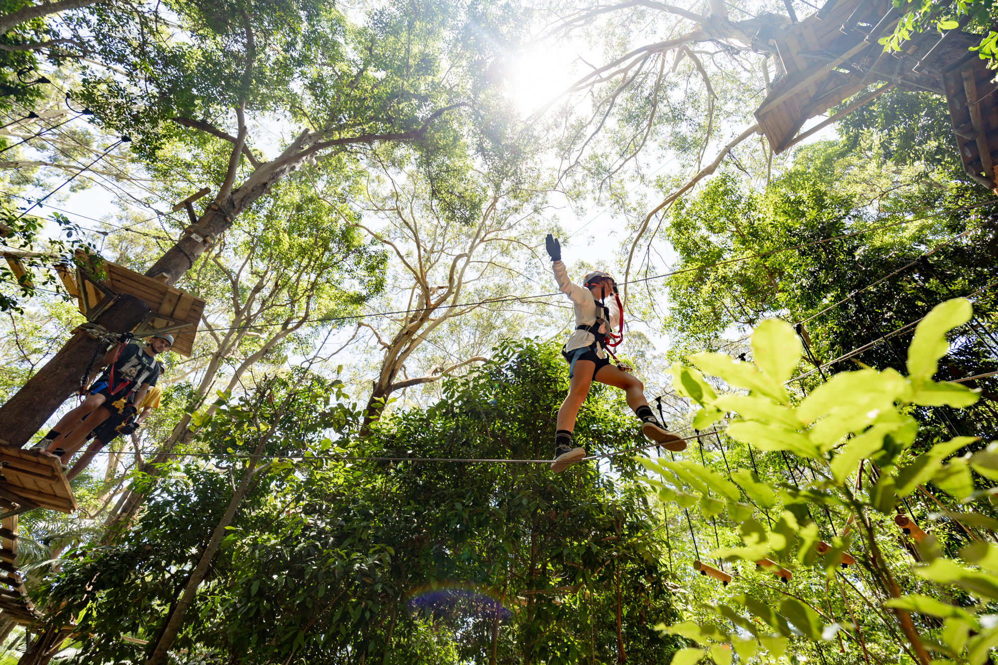 CWS_TreeTop Challenge_Walking on a wire Keera.jpg