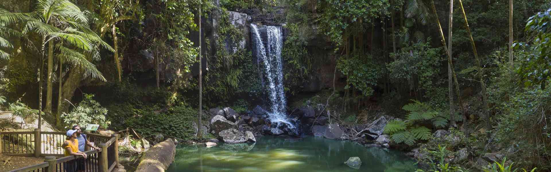 Curtis Falls, Tamborine Mountain