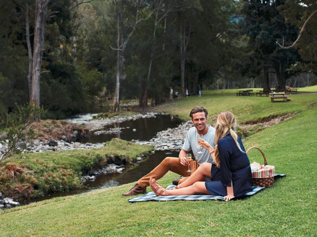 Picnic beside Canungra Creek