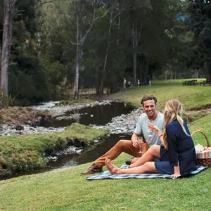 Picnic beside Canungra Creek