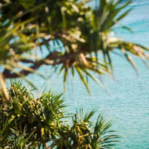 View of Greenmount Beach