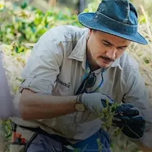 NaturallyGC: Austinville Landcare - Bush Regeneration Image 1