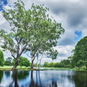 GC Botanic Gardens