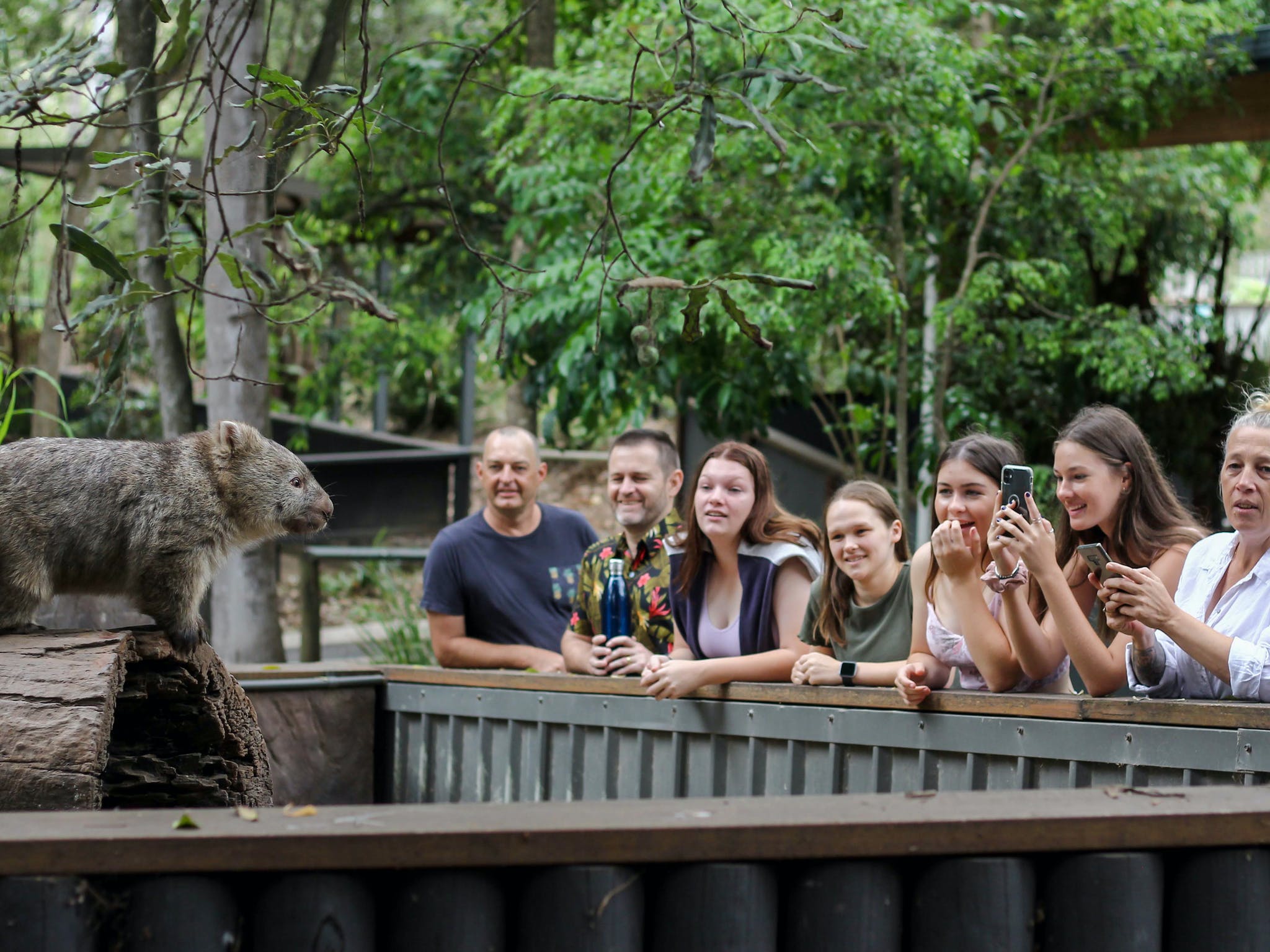 Lone Pine Koala Sanctuary | Destination Gold Coast