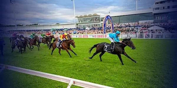 2026 TAB Magic Millions Raceday Image 1