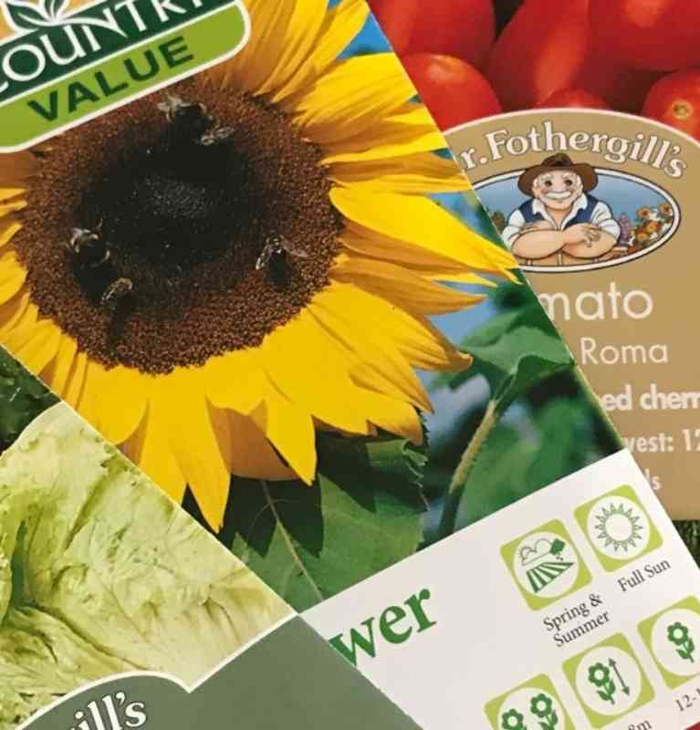 Planting seeds - Mobile banner