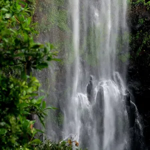 Morans Falls Lamington NP