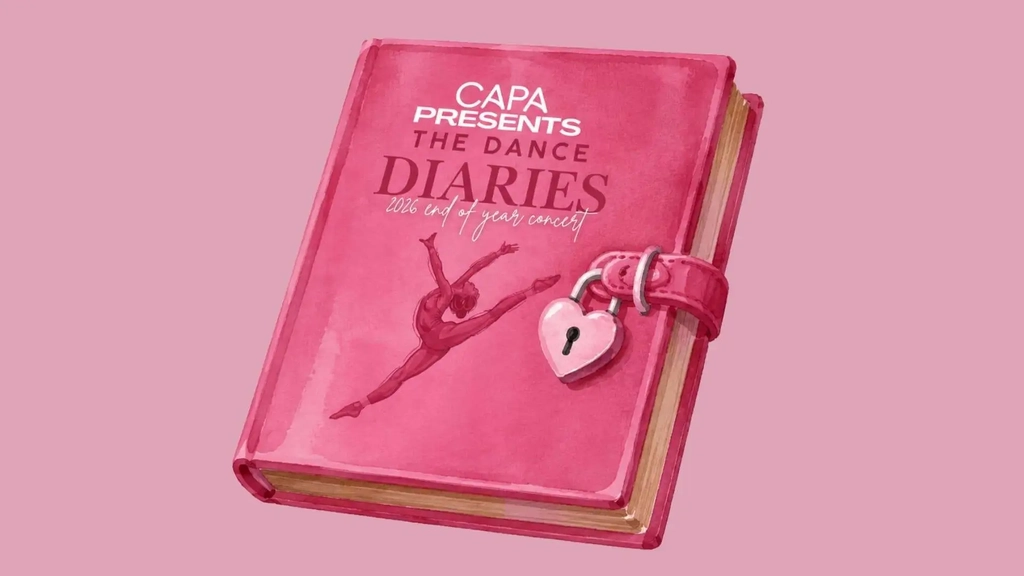The Dance Diaries Image 1