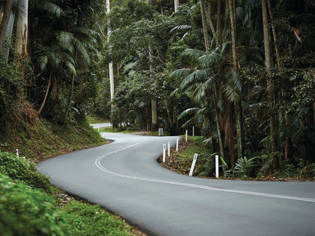 Tamborine Mountain National Park