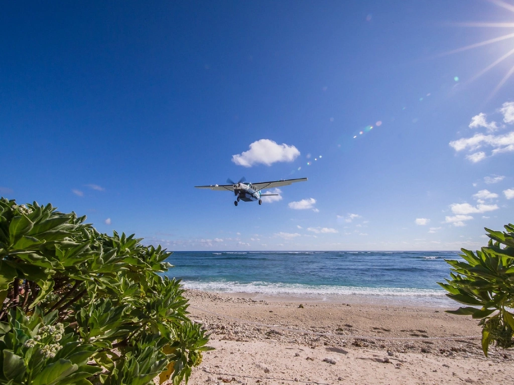 Lady Elliot Island