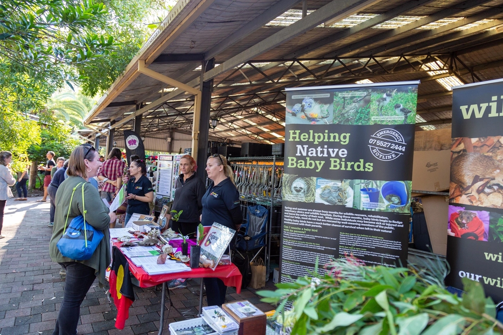 Botanical Bazaar Image 9