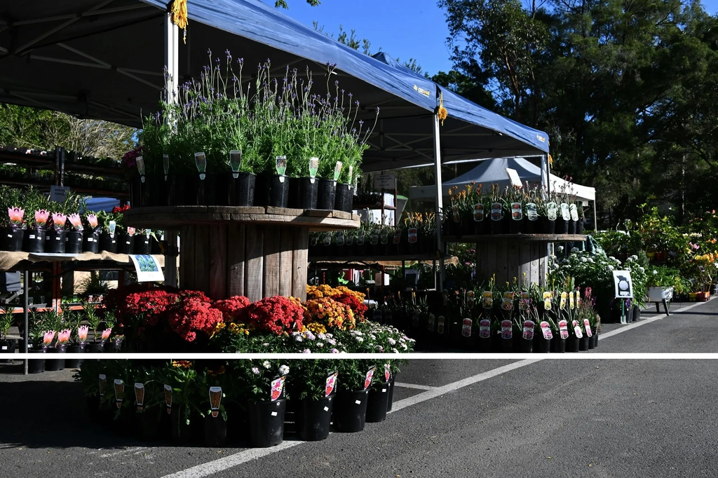 Botanical Bazaar Image 3