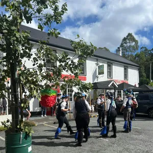 Ciderfest with Morris Dancing Image 1