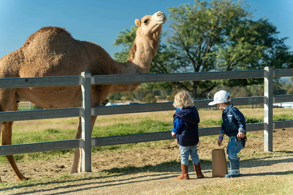 Scenic Rim Eat Local Month Image 2