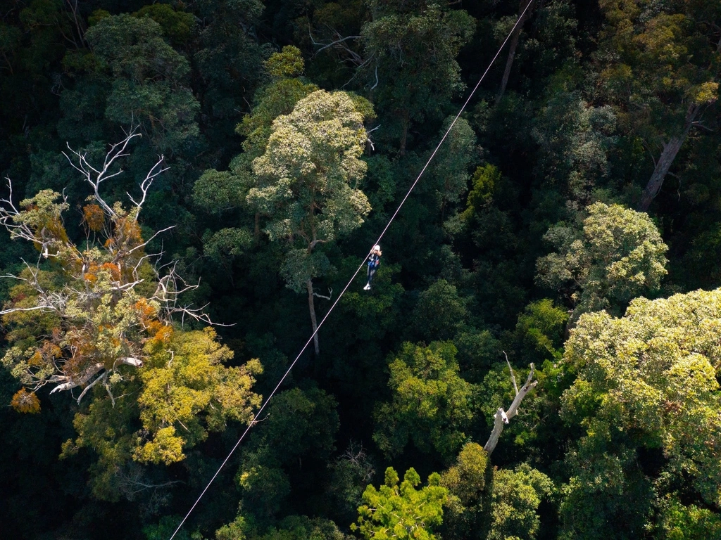 Birdseye view of zipline experience