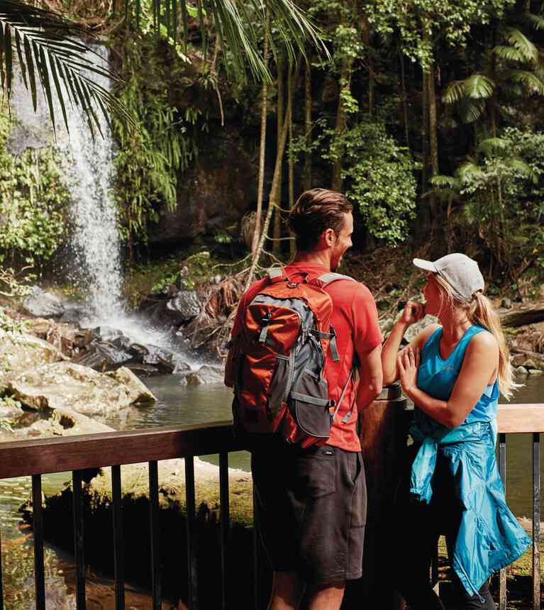 Curtis Falls at Tamborine Mountain