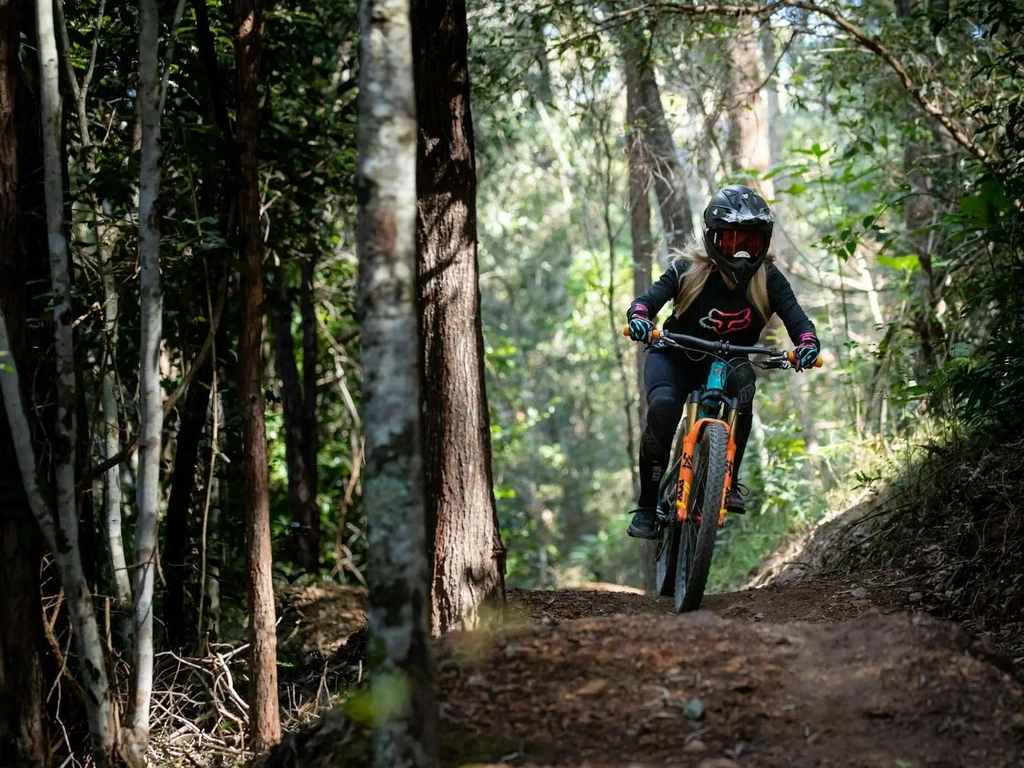 rider in amongst forest