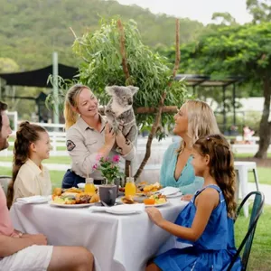 Paradise Country Koala Breakfast Image 1